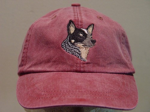 Australian cattle dog hat - cattle,
