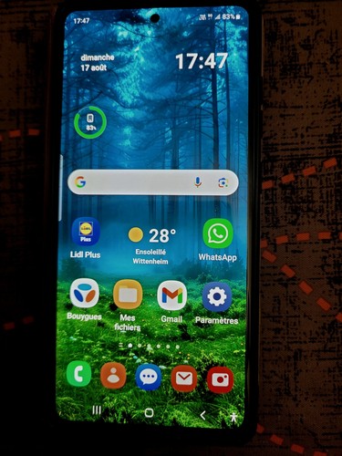 Téléphone portable samsung