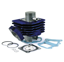 kit carenzi 50cc peugeot