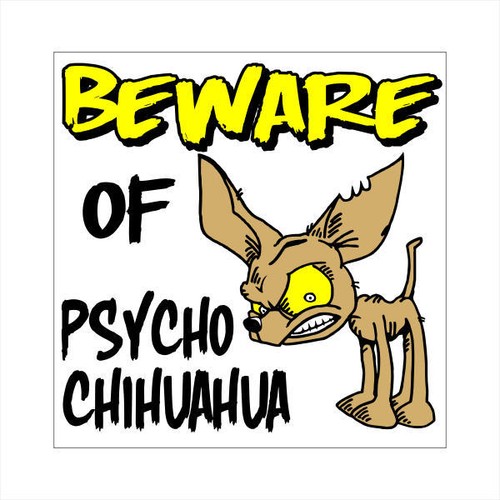 Psycho chihuahua tiny doggy - chihuahua,
