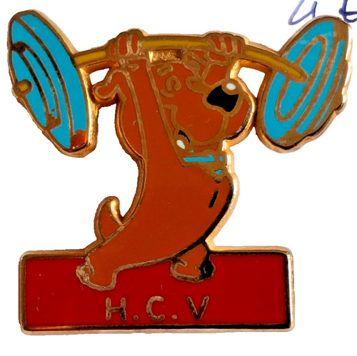 Pin ballard chien - pin's,