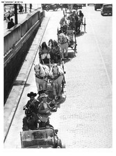 PH-AB-BFP1-0244-PHOTO - Chevaux sauvés de l'abattoir - Parc d'attraction