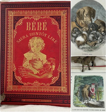 ALBUM DE BÉBÉ SAURA BIENTOT