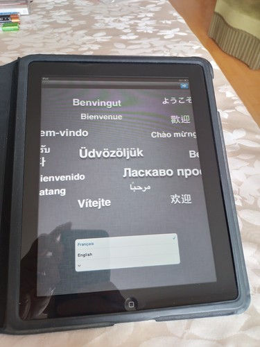 Tablette apple ipad - tablette,