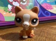 Authentic Littlest Pet Shop
