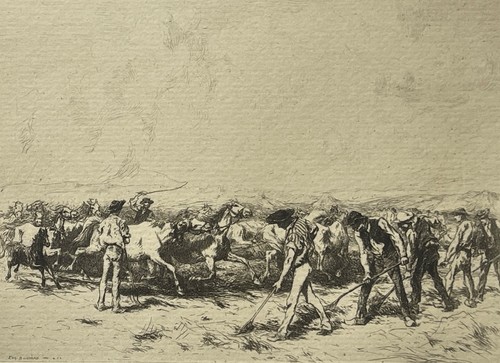 Camargue horses threshing - horses,