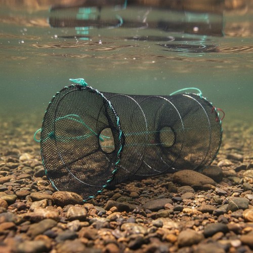Piège poissons pliable - piège,