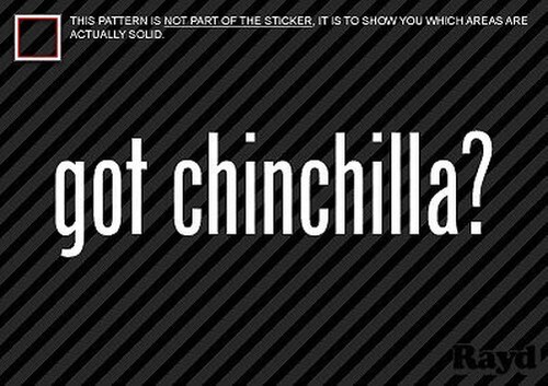 Got chinchilla autocollant - (2),
