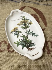 Petit plateau 26 cm en vitro