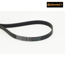 V-ribbed Belt CONTINENTAL CTAM