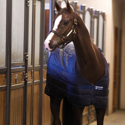 Horseware liner 200g marine - 200g,