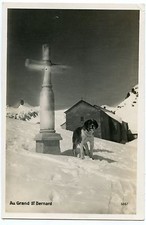 AU GRAND SAINT-BERNARD. CHIEN