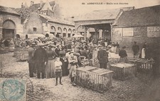 ABBEVILLE - Halle aux denrées - porcs - jolie animation-pub chicorée Arlatte