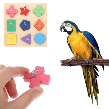  Jouet Perruche Calopsitte