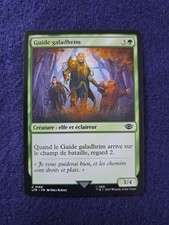 MTG Magic carte "GUIDE