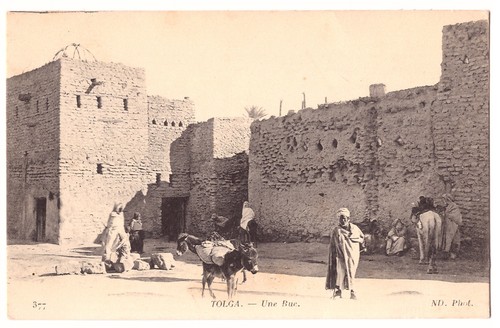 Cpa algerie tolga une rue - cpa,