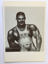 Carte Postale   TOM OF FINLAND   Gay  Sexy  Man  Homme  Male  Postcard  Nu  CP  
