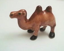 magnifique chameau en