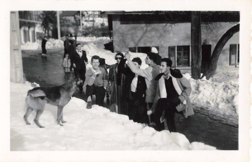 Ancienne photographie 1950 - ancienne,