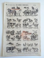 Affiche Grande image Epinal Planche LES ANIMAUX DOMESTIQUES n°774 Imagerie Pinot