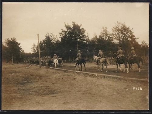 Photographie coupe du - 1.,