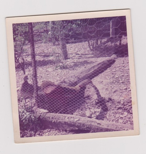 Photo ancienne - photo,