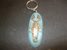 2 ANCIEN PORTE CLE RESINE INCLUSION SCORPION