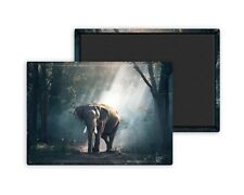 Eléphant dans la foret-Magnet
