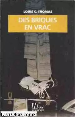 Des briques vrac - briques,