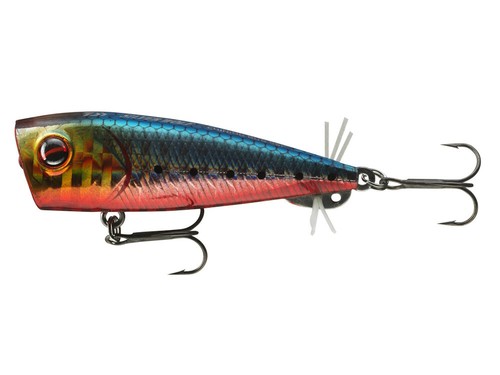Neuf prorex chining bug - chining, 7cm
