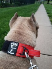 Heavy Duty Tactical Dog Collar