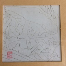 Geo-Fourrier Champignon