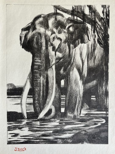 Paul jouve gravure animalière - jouve,