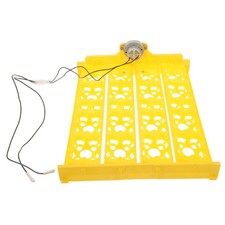  Couveuse Oeufs Poules