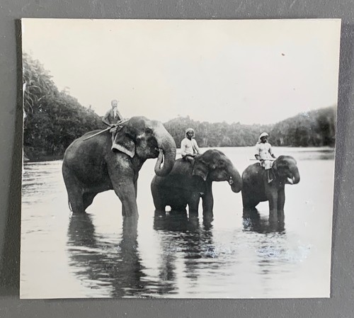 Photo ancienne 1936 ceylan - 1936, sri
