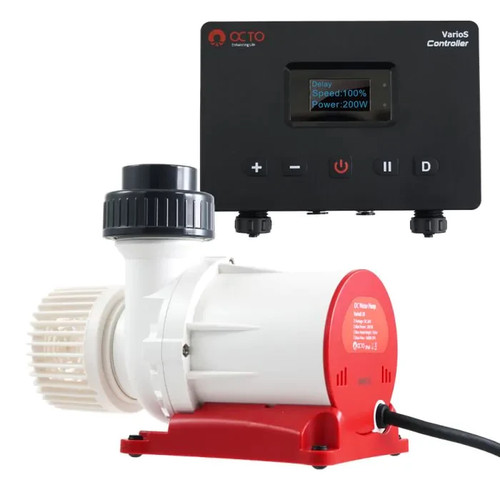 Reef octopus varios - reef, varios-10