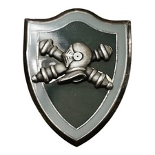 Insigne G 4220 - RC 80