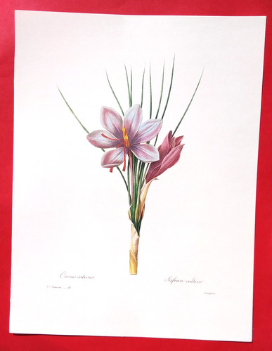 Lithographie fleurs 34 - , (34