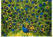 Animaux - Oiseaux - Paon - Peacock - Dessin de Walasse Ting - CPM - Voir Scans R