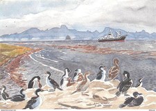 Carte postale animaux - carte,
