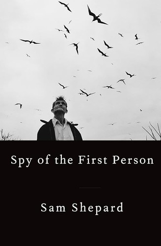 Spy the first - person,