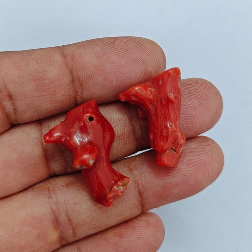 Ancienne branche brute corail