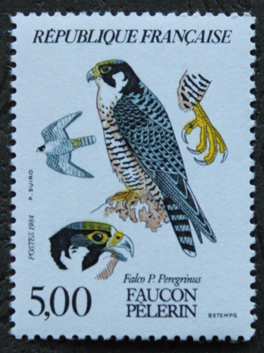 Timbre france faucon - timbre,