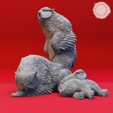 Rieseneule Famille Miniature Lot Compagnon Figurine pour Ttrpgs Comme D&d 5e