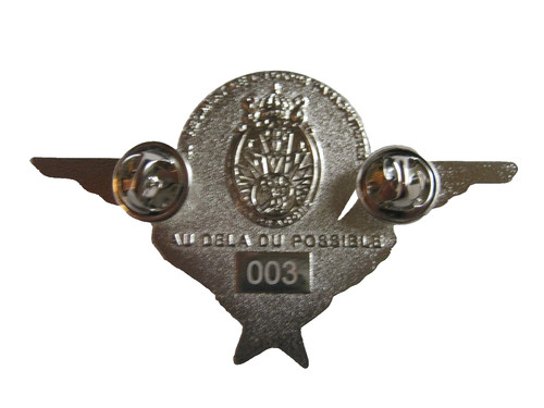 Brevet des dragons - brevet,
