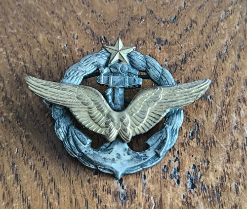 Insigne brevet pilote - insigne,