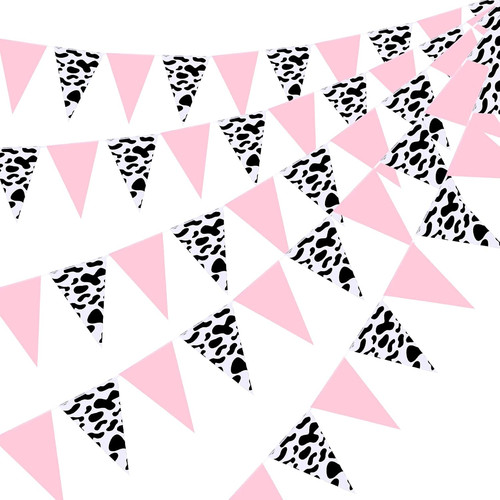 Pack western cowgirl party - 5,