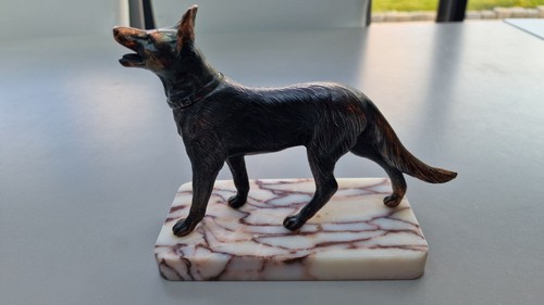 Berger allemand chien - allemand,