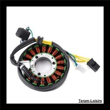 Stator Allumage pour Suzuki