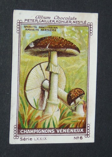 Chromo peter cailler kohler - chromo,